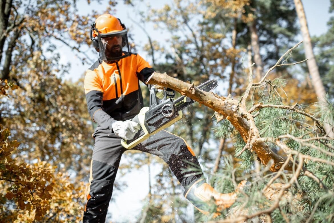 The Essential Guide to Tree Surgeons: Roles, Training, and Safety