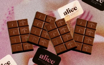 Buy Alice mushroom chocolate bars